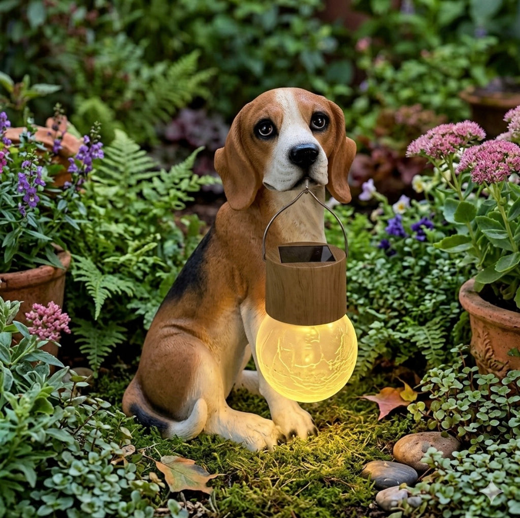 Beagle SunPup Glow